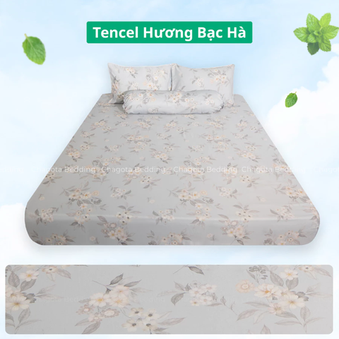 Bộ Ga Gối Chun Ice Mint BH55 Hương Bạc Hà Đặc Trưng, Kháng Khuẩn Nhiều Họa Tiết 1m4