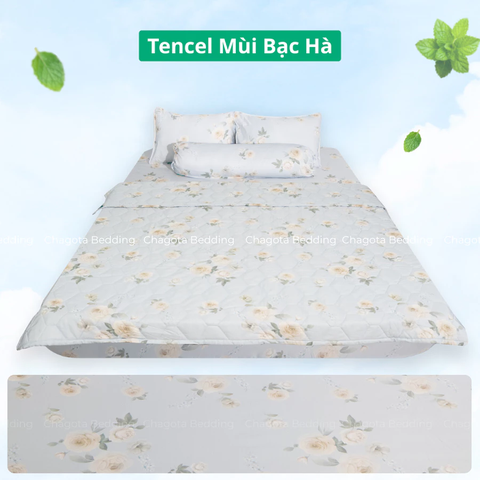 Bộ Chăn Ga Gối Ice Mint BH61 Hương Bạc Hà Đặc Trưng, Kháng Khuẩn Nhiều Họa Tiết 2m2