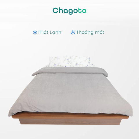 Chăn Bông Mùa Đông Chagota Cotton Cao Cấp, Mềm Mại An Toàn Cho Da 2mx2m5