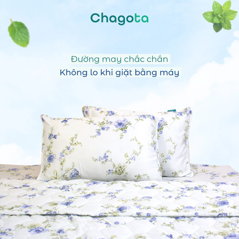 Áo Gối Nằm Ice Mint Hương Bạc Hà, Kháng Khuẩn Tự Nhiên