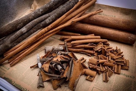 Bio Quế – Bước ngoặt cho nông nghiệp xanh Việt Nam