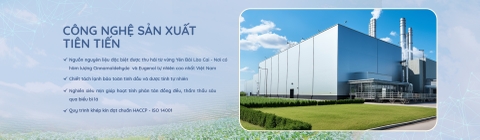 Bio Quế Việt Nam