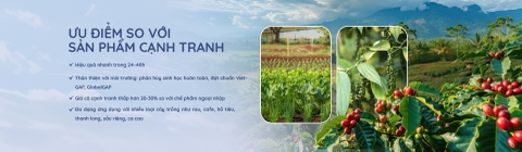 Bio Quế Việt Nam