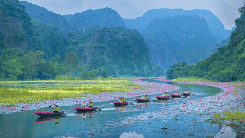 PRIVATE NINH BINH HALAL TOUR: HOA LU – TRANG AN – MUA CAVE ( 10 Pax)