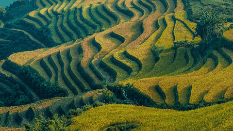 5D4N Private Halal Group Tour Sapa - Hanoi -  Ha Long Bay ( 10 Pax)