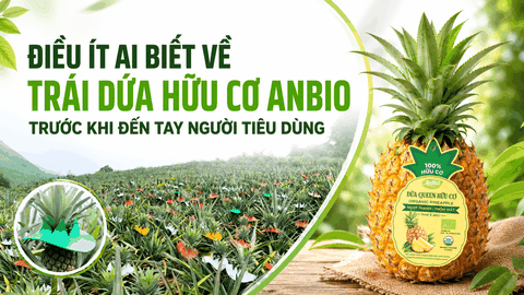 Điều ít ai biết về trái dứa hữu cơ AnBiO trước khi đến tay người tiêu dùng