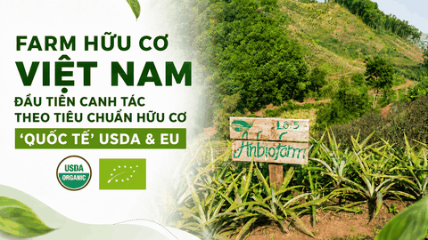 Farm hữu cơ Việt Nam đầu tiên canh tác theo tiêu chuẩn hữu cơ 