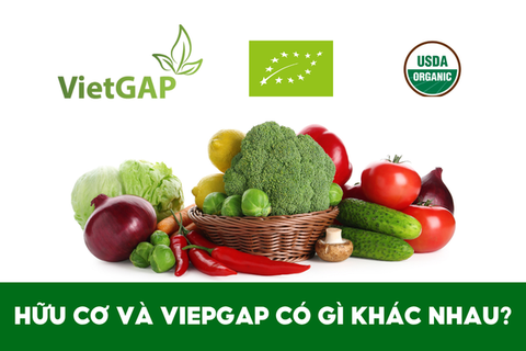 Hữu cơ khác gì với VietGAP