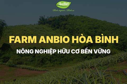 Hành Trình Đầu Tư Vùng Trồng Hữu Cơ Vì Một Nền Nông Nghiệp Bền Vững