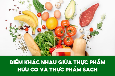 Điểm khác nhau giữa thực phẩm hữu cơ và thực phẩm sạch