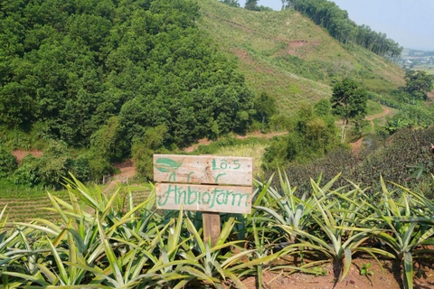 Farm hữu cơ Việt Nam đầu tiên canh tác theo tiêu chuẩn hữu cơ 