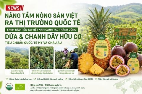 Farm đầu tiên tại Việt Nam canh tác thành công dứa và chanh dây hữu cơ tiêu chuẩn quốc tế Mỹ và châu Âu