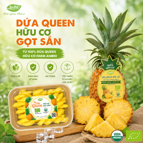 Dứa hữu cơ AnBiO gọt sẵn (chỉ ship nội thành Hà Nội)