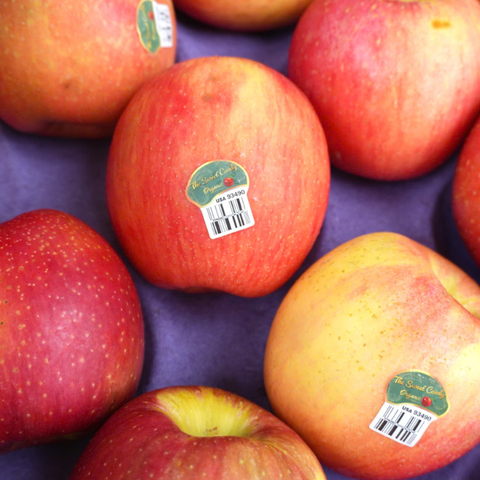 Táo Ever Crisp Organic - Loại 2