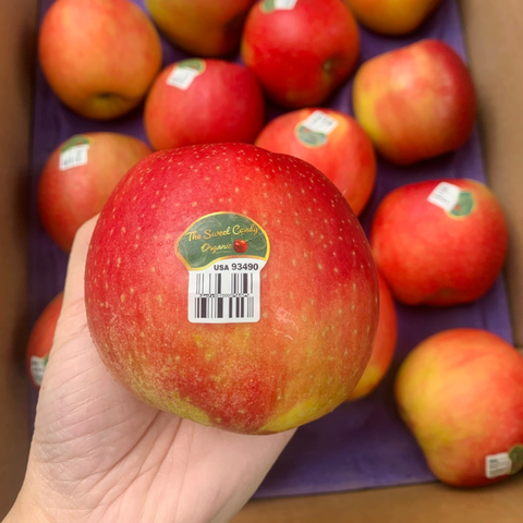 Táo Ever Crisp Organic - size 72 (2A)