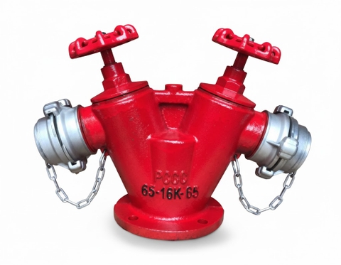 Đầu trụ chữa cháy 2 cửa D65 cho hệ thống PCCC