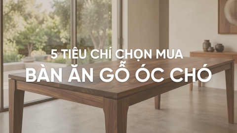 5 Tiêu chí chọn mua bàn ăn gỗ óc chó chuẩn cho gia đình