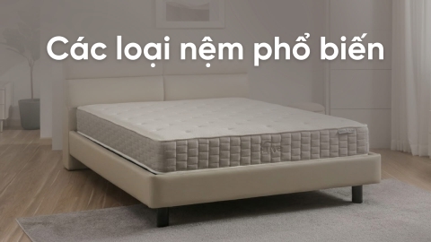 Các loại nệm phổ biến hiện nay và cách chọn nệm phù hợp