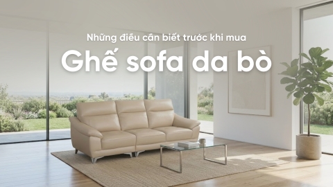 Những điều cần biết trước khi mua ghế sofa da bò cao cấp