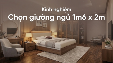 Kinh nghiệm chọn giường ngủ 1m6 x 2m để tối ưu diện tích