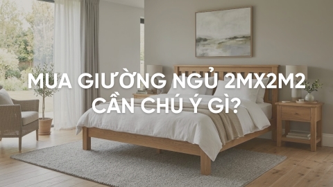 Mua giường ngủ 2mx2m2 cần chú ý gì? Kinh nghiệm chọn mua