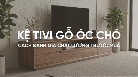 Kệ tivi gỗ óc chó và cách đánh giá chất lượng trước mua