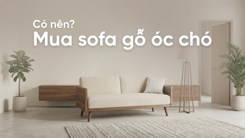 Có nên mua sofa gỗ óc chó? 6 điều nên biết trước khi chọn