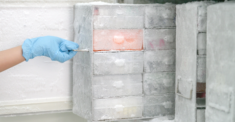 Temperature sensor for monitoring refrigerators and freezers for chemical storage