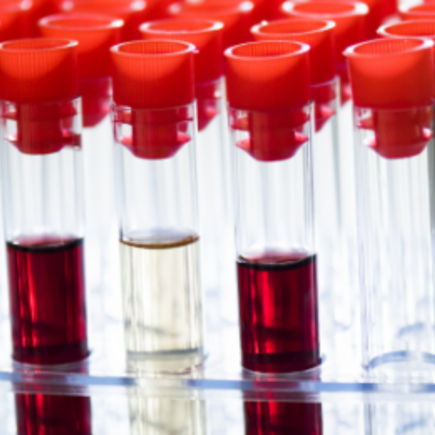 Medical & Pharmaceutical