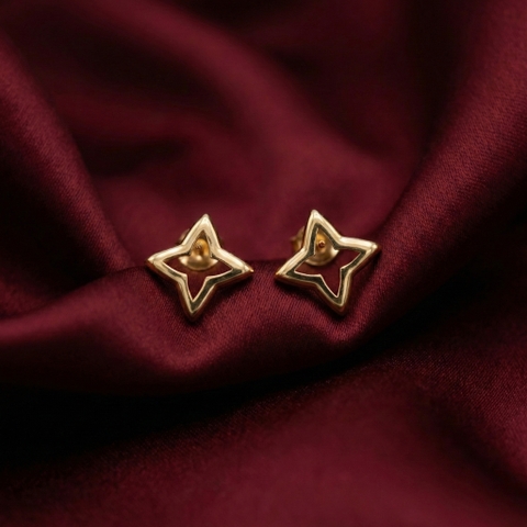 Bông tai ngôi sao Polaris Frame bốn cánh BN JEWELRY