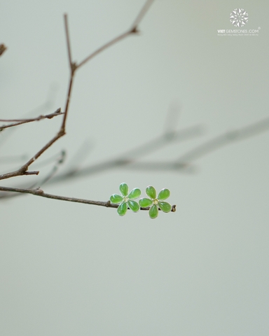Bông Tai Hoa Mai Vạn Phúc Ngọc Bích - Nephrite