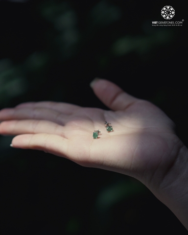 Bông Tai Đá Emerald (Ngọc Luc Bảo) Bạc 950 Phủ Bạch Kim