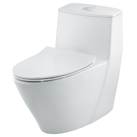Bệt liền khối AC-919VRN/BW1 INAX