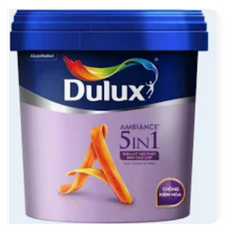 Paint 