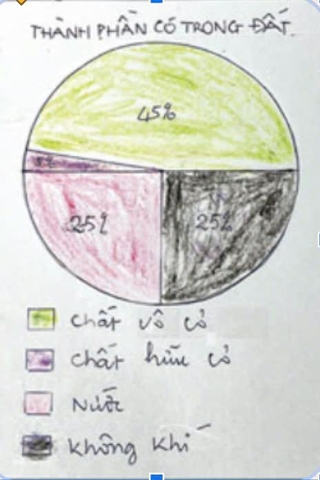 Biểu đồ biểu diễn các thành phần trong đất – Học liệu thực hành STEM