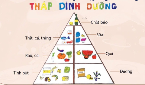 Mô hình tháp dinh dưỡng – Học liệu thực hành STEM