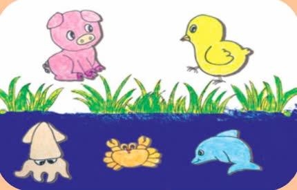 Mô hình công viên động vật – Học liệu thực hành STEM