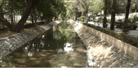 Từ Thí Điểm Bangkok Đến Giải Pháp Cho Việt Nam: SUNGWON & V-FARM