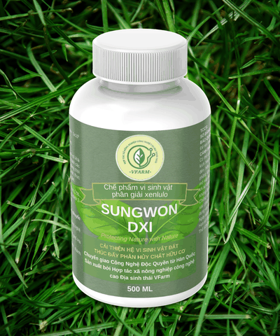 Chế phẩm vi sinh vật phân giải xenlulo Sungwon DXI