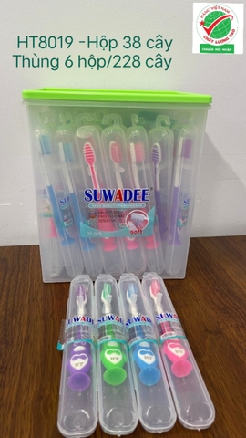 Bàn Chải Đánh Răng HT8019 - Hộp 38 Cây (Móc) - TOOTHBRUSH - 8936140450073