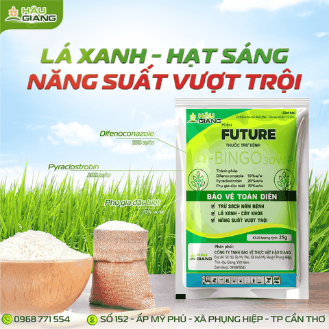 HẬU GIANG - Thuốc trừ bệnh FUTURE 30WP 25GR - Difenoconazole 10% w/w + Pyraclostrobin 20% w/w - Ngăn ngừa và kiểm soát nấm bệnh đạo ôn, lem lép hạt, đốm nâu, thán thư, rỉ sắt, phấn trắng