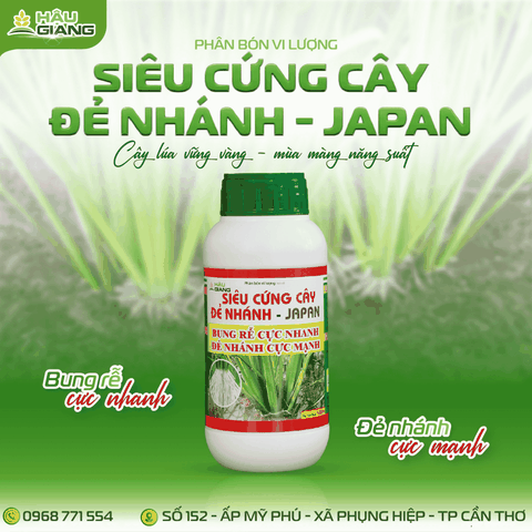HẬU GIANG - Phân bón vi lượng SIÊU CỨNG CÂY ĐẺ NHÁNH JAPAN 500ML - Zn 15.000 ppm + CaO 11%w/v + MgO 10.000 ppm + Bo 150 ppm - Giúp cây trồng phát triển đồng đều, cứng cáp và đẻ nhánh vượt trội