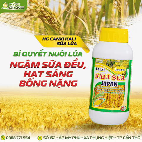HẬU GIANG - Phân bón vi lượng CANXI KALI SỮA JAPAN 500ML - Zn 15.000 ppm + CaO – 5% w/v + K₂O – 20% w/v - Giúp cây khỏe, đồng xanh, hạt mẩy