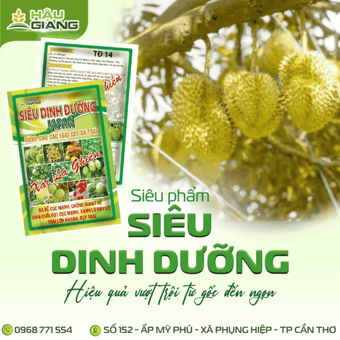 HẬU GIANG - Phân bón vi lượng SIÊU DINH DƯỠNG JAPAN 1KG - Zn 15.000 ppm + Acid Humic 70% - Cải thiện đất, giúp rễ khỏe, đâm chồi, đòng to, trái đẹp, giảm rụng trái