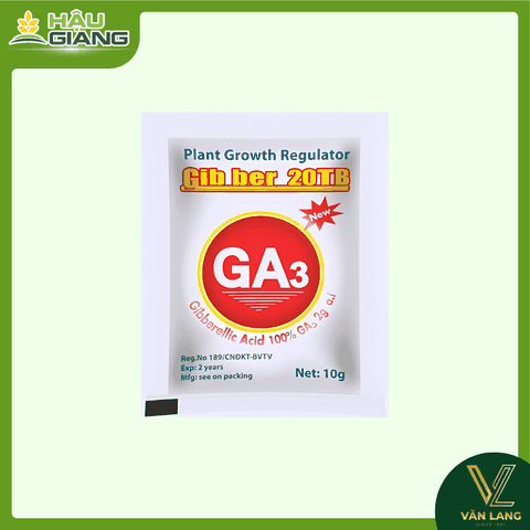 Á CHÂU - Thuốc điều hòa sinh trưởng Gibber 20TB 10g - GA3 100% -  Điều Hòa Sinh Trưởng Hiệu Quả & Ổn Định