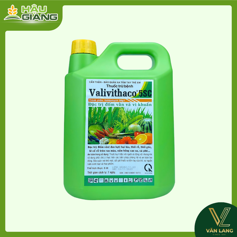 VITHACO - Thuốc trừ bệnh VALIVITHACO 5SC 5lít - Validamycin 50g/L - kiểm soát khô vằn, lem lép, thối nhũn, nấm hồng,....