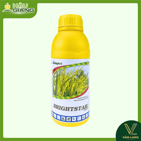 HỢP TRÍ - Thuốc điều hoà sinh trưởng BRIGHTSTAR 25SC 1L - Paclobutrazol 250 g/L - Giúp cây phát triển thân, tăng số chòi hữu hiệu, giúp cây tập trung dinh dưỡng cho giai đoạn làm bông trái