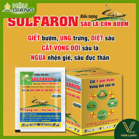 LÚA VÀNG - Thuốc trừ sâu Sulfaron 250EC 24ml - Carbosulfan 200 g/l + Chlorfluazuron 50 g/l - Đặc trị hiệu quả sâu cuốn lá, sâu đục thân, sâu xanh da láng, rệp sáp, mọt đục cành.