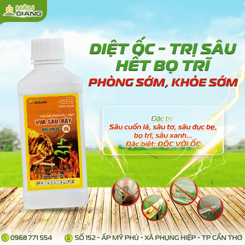 HẬU GIANG - VUA SÂU RẦY 3.6 EC 450ml - Abamectin 36g/l - Phòng trừ Sâu cuốn lá, rầy nâu, bọ trĩ, sâu đục thân, nhện lông nhung, sâu tơ, sâu xanh, sâu đục bẹ, nhện gié, ốc bươu vàng