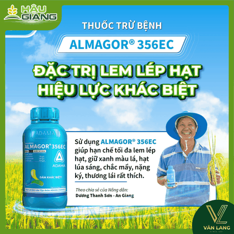 ADAMA - Thuốc trừ bệnh ALMAGOR® 356EC - Azoxystrobin 56 g/L + Prochloraz 200 g/L + Tebuconazole 100 g/L - Đặc trị lem lép hạt
